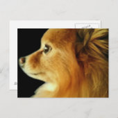 Adler-mit Augen Spitz Postkarte (Vorne/Hinten)