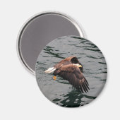 Adler mit Flügeln Magnet (Vorderseite/Rückseite)