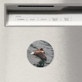 Adler mit Flügeln Magnet (In Situ (Geschirrspüler))