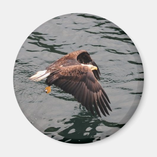Adler mit Flügeln Magnet (Vorne)