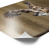 Adler mit Muddy Feet eintauchen Fotodruck (Ecke)