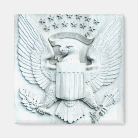 Adler mit Sternen - Wash DC Magnet (Vorne)