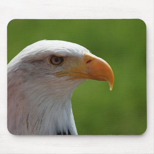 Adler Mousepad (Vorne)