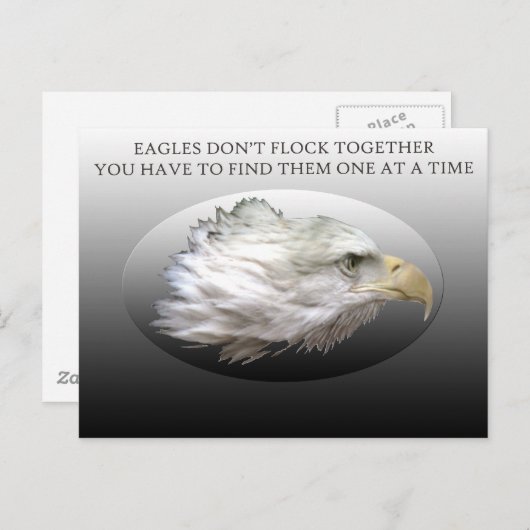 Adler nicht zusammenkleben Postkarte (Vorne/Hinten)