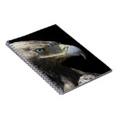 Adler Notizblock (Rechte Seite)