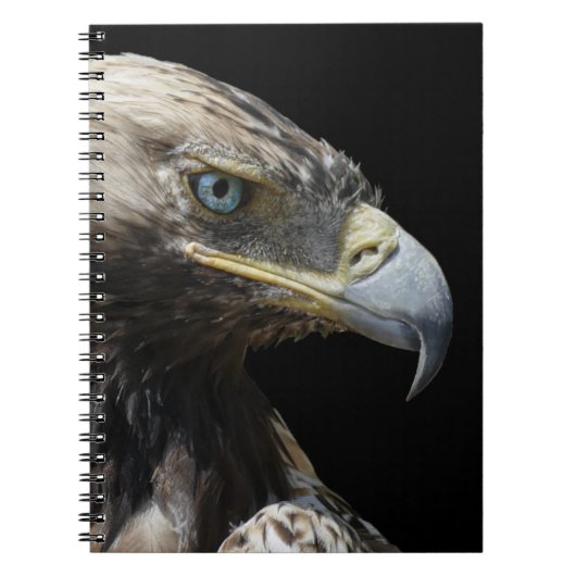 Adler Notizblock (Vorderseite)