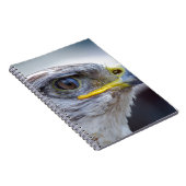 Adler Notizblock (Rechte Seite)