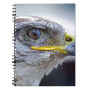 Adler Notizblock