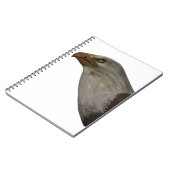 Adler Notizblock (Linke Seite)