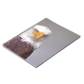 Adler Notizblock (Linke Seite)