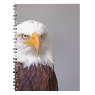 Adler Notizblock