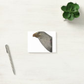Adler Post-it Klebezettel (Büro)