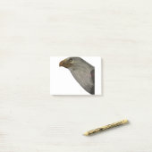 Adler Post-it Klebezettel (Auf Schreibtisch)