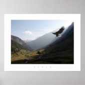 Adler Poster (Vorne)