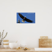 Adler Poster (Küche)