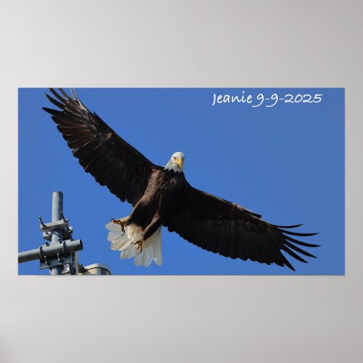 Adler Poster (Vorne)