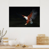 Adler Poster (Küche)