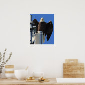 Adler Poster (Küche)