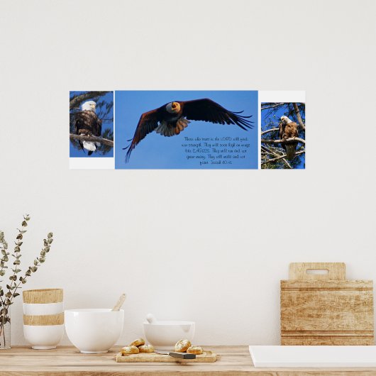 Adler Poster (Küche)