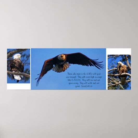 Adler Poster (Vorne)