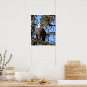 Adler Poster (Küche)