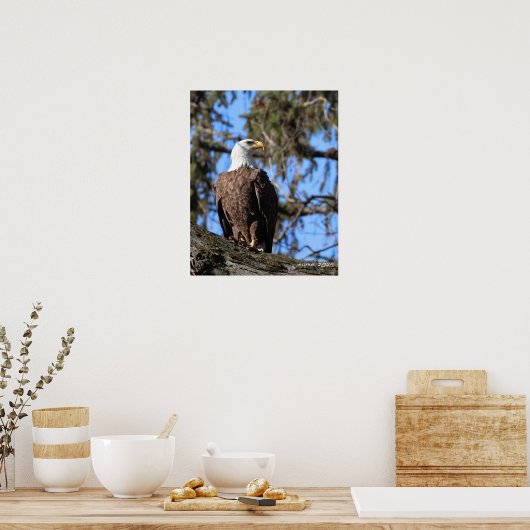 Adler Poster (Küche)