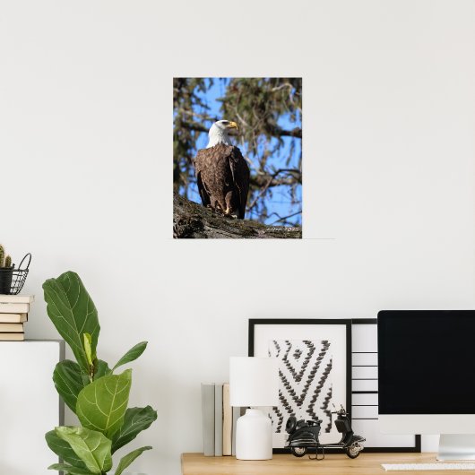 Adler Poster (Heimbüro)