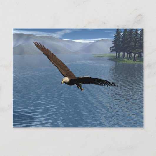 Adler Postkarte (Vorderseite)