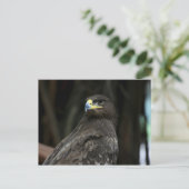 Adler Postkarte (Stehend Vorderseite)