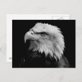 Adler Postkarte (Vorne/Hinten)