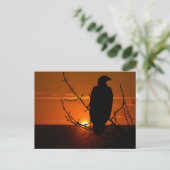 Adler Postkarte (Stehend Vorderseite)