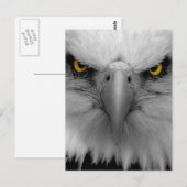 Adler Postkarte (Vorne/Hinten)