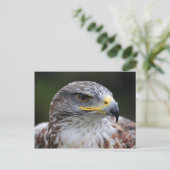 Adler Postkarte (Stehend Vorderseite)