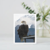 Adler Postkarte (Stehend Vorderseite)