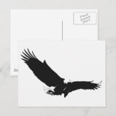 Adler Postkarte (Vorne/Hinten)