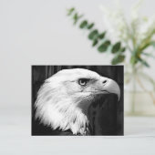 Adler Postkarte (Stehend Vorderseite)