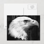 Adler Postkarte (Vorne/Hinten)