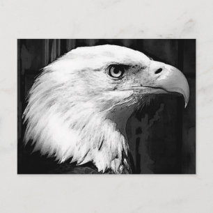 Adler Postkarte