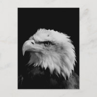 Adler