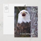 Adler Postkarte (Vorne/Hinten)