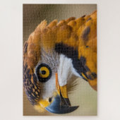 Adler Puzzle (Vertikal)