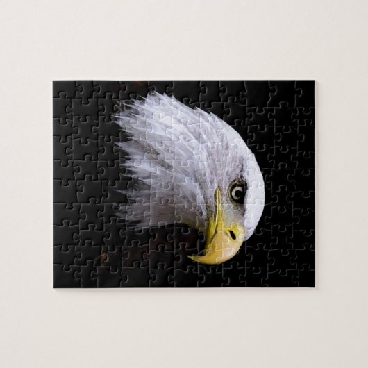 Adler Puzzle (Horizontal)