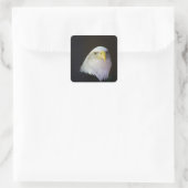 Adler Quadratischer Aufkleber (Tasche)