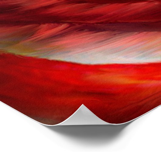 Adler - Red White Blue Fine Art Poster/Print Poster (Ecke)