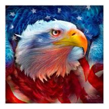 Adler - Red White Blue Fine Art Poster/Print
