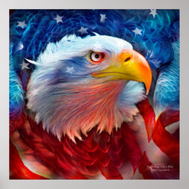 Adler - Red White Blue Fine Art Poster/Print Poster