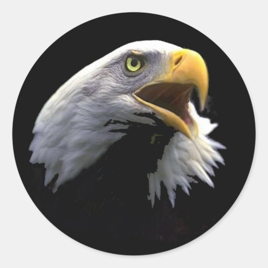 Adler Runder Aufkleber (Vorderseite)