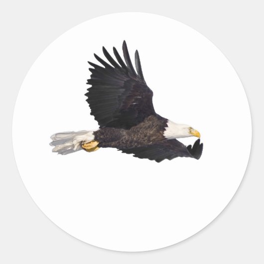 Adler Runder Aufkleber (Vorderseite)