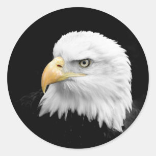 Adler Runder Aufkleber