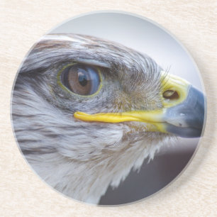 Adler Sandstein Untersetzer